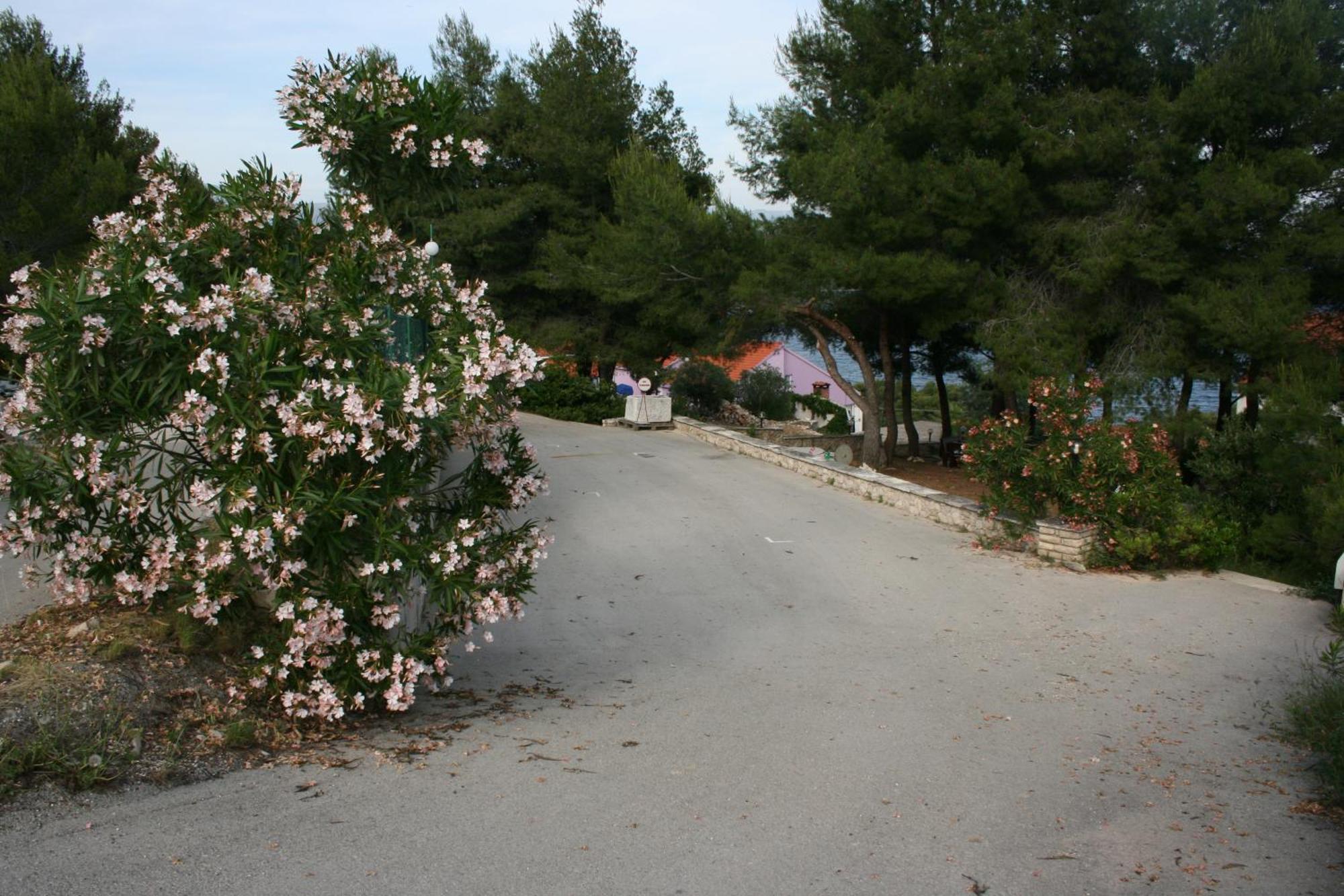 Villa Hela Lumbarda Exterior photo